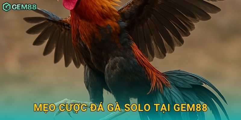 Mẹo cược đá gà solo tại Gem88