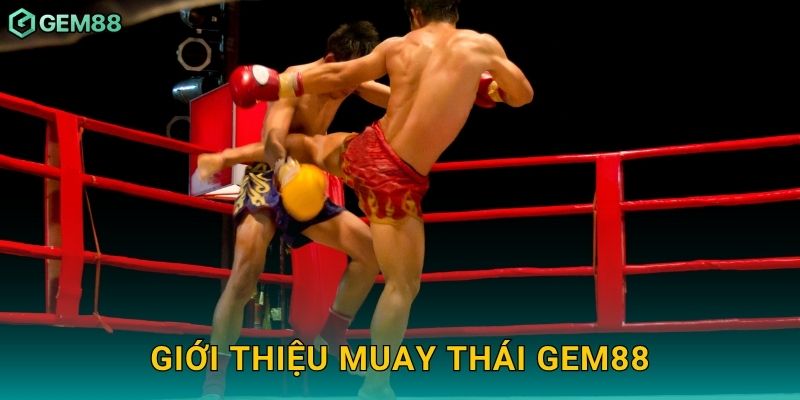 Giới thiệu Muay Thái Gem88