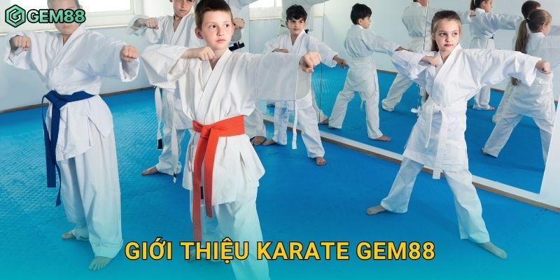 Giới thiệu Karate Gem88