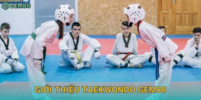 Giới thiệu Taekwondo Gem88