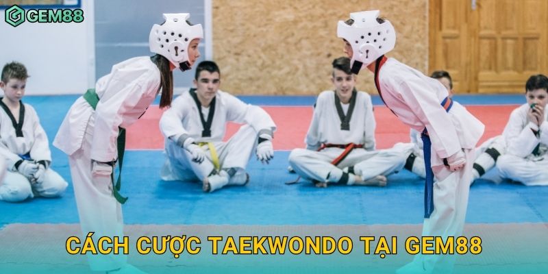 Cách cược Taekwondo tại Gem88
