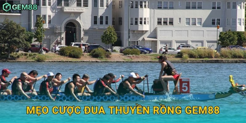 Mẹo cược đua thuyền rồng Gem88